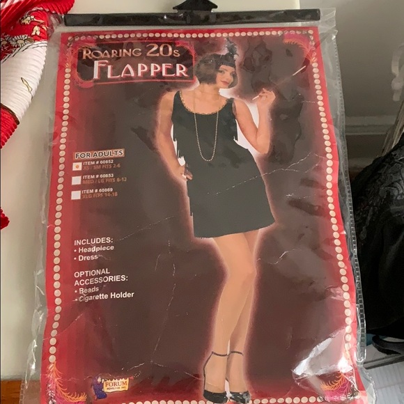 Roaring 20s Flapper costume - Picture 1 of 7